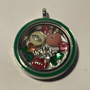 Philadelphia Eagles Football Team Memory Locket w/ 22 IN Chain NEW
